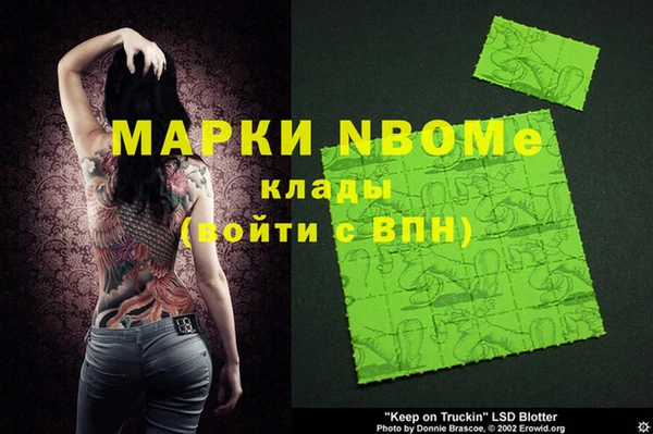 прущие грибы Касимов