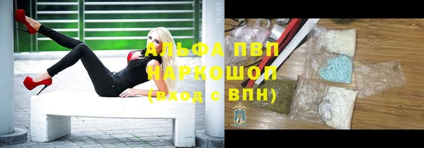 прущие грибы Касимов
