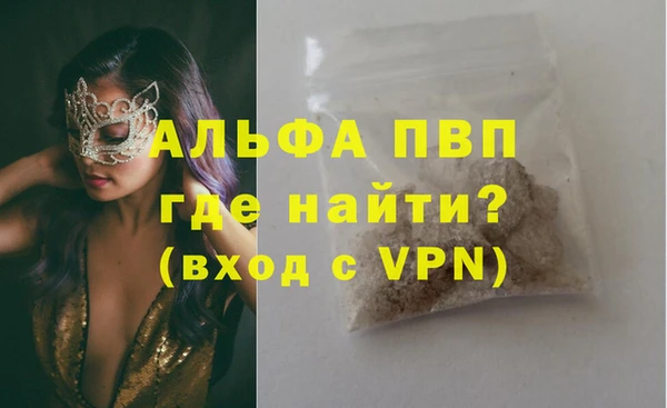 прущие грибы Касимов