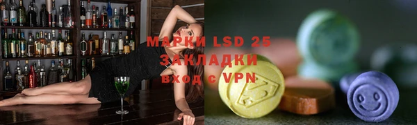прущие грибы Касимов