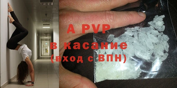 стафф Киреевск