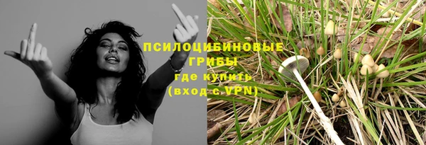 прущие грибы Касимов