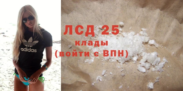 прущие грибы Касимов