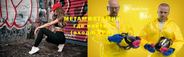 прущие грибы Касимов