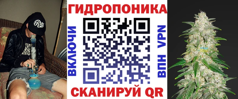 Каннабис THC 21%  Купить закладки  Бородино 